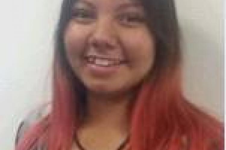 Article Image Alt Text