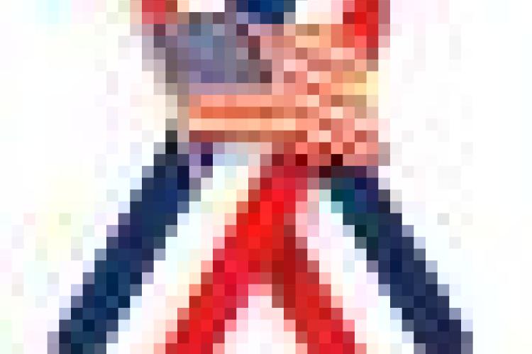 Article Image Alt Text