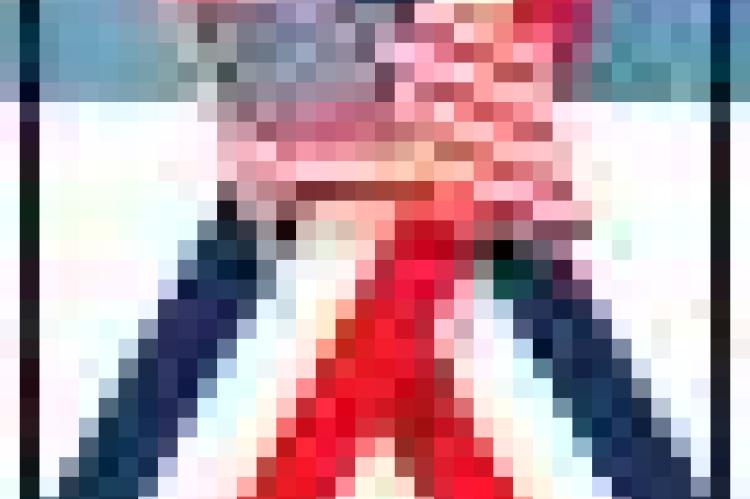 Article Image Alt Text