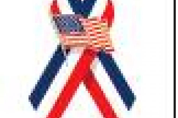 Article Image Alt Text