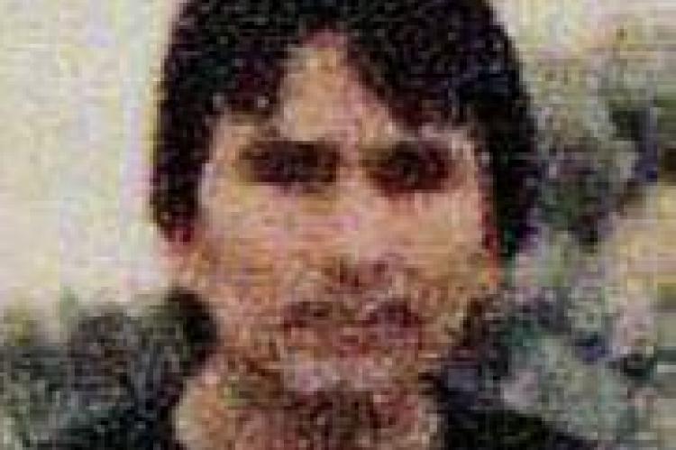 Article Image Alt Text