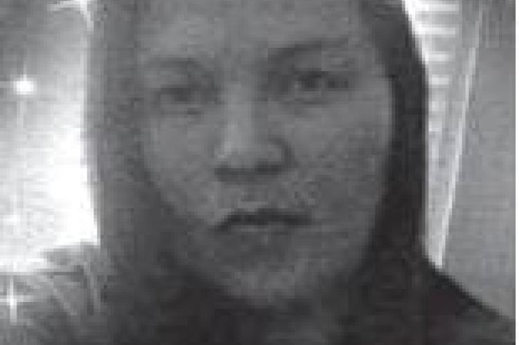 Article Image Alt Text