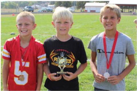 Article Image Alt Text