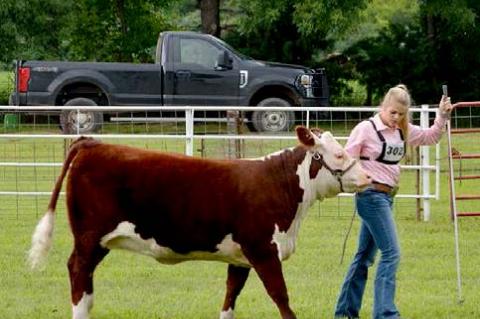 Article Image Alt Text