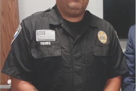 Article Image Alt Text