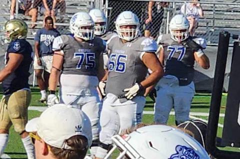 Article Image Alt Text