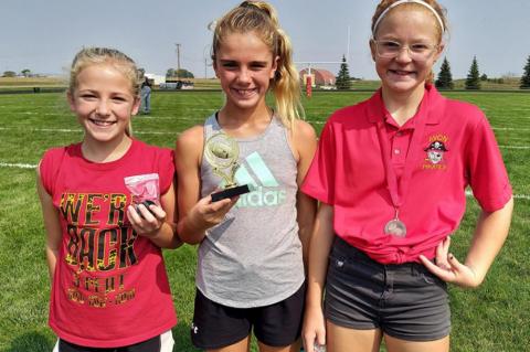 Article Image Alt Text