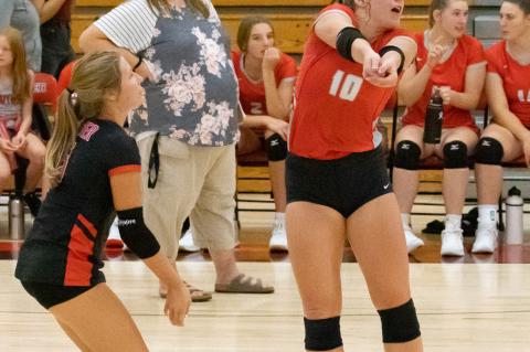 Article Image Alt Text