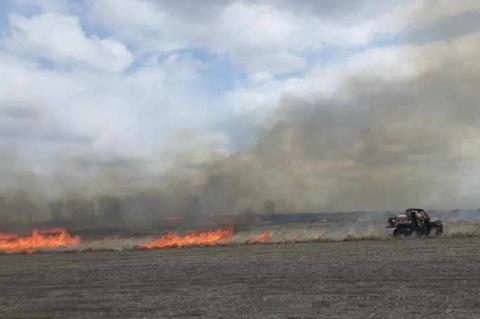 Article Image Alt Text