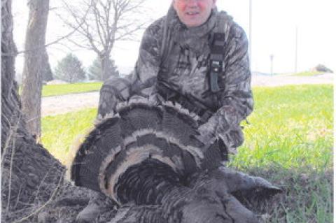 Article Image Alt Text