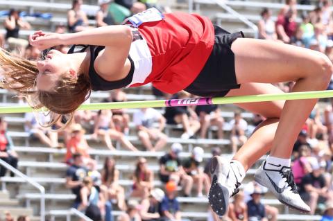 Article Image Alt Text