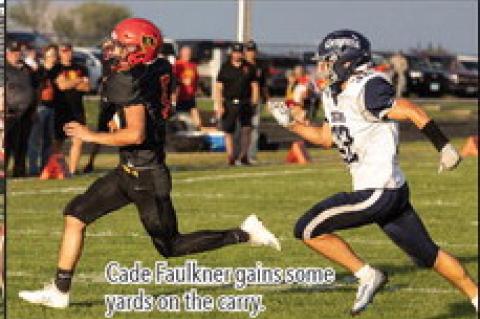 Article Image Alt Text