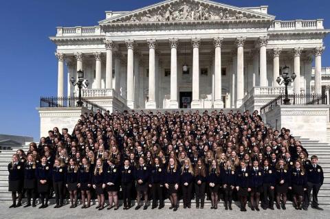 Article Image Alt Text