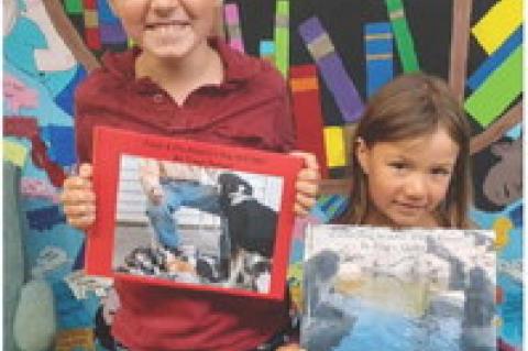 Article Image Alt Text