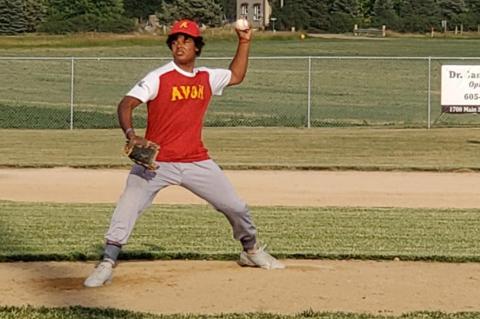 Article Image Alt Text