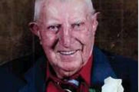 Article Image Alt Text