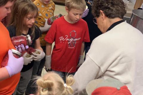 Article Image Alt Text