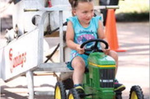 Article Image Alt Text