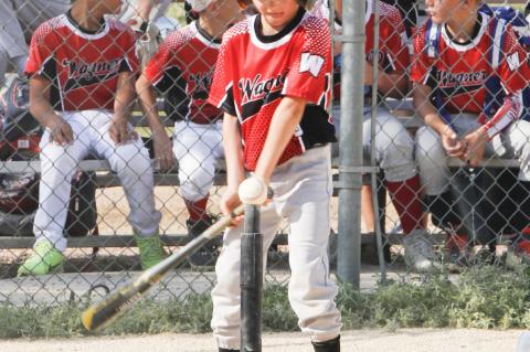 Article Image Alt Text