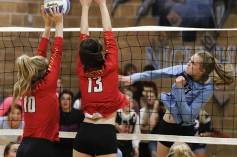 Article Image Alt Text