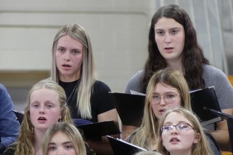 Article Image Alt Text