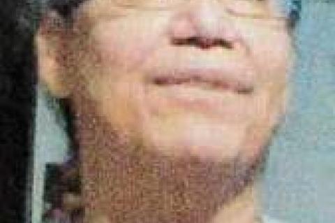 Article Image Alt Text