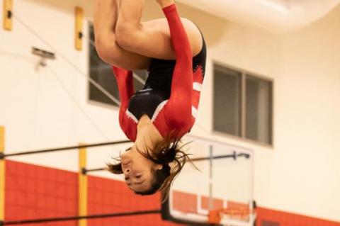 	CHAMBERLAIN TRIANGULAR GYMNASTICS RESULTS 