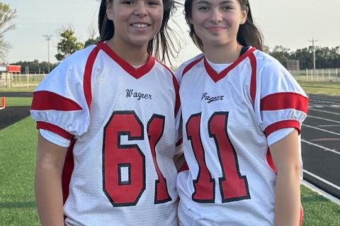 Article Image Alt Text