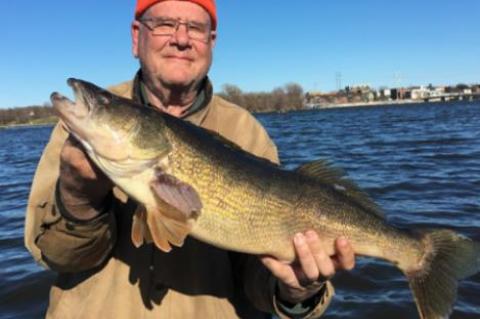 A GREAT NEW YEAR’S RESOLUTION IDEA