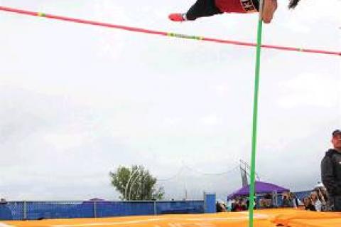 Article Image Alt Text