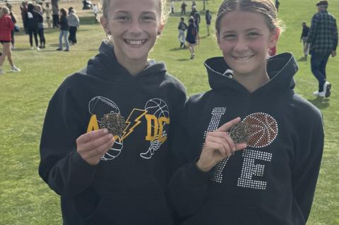 Article Image Alt Text