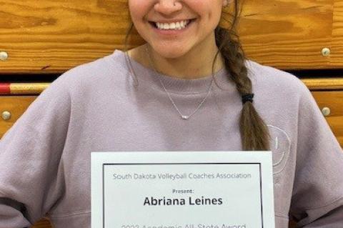 Article Image Alt Text