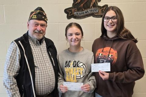 Article Image Alt Text