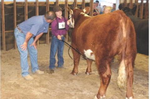 Article Image Alt Text