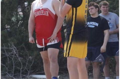 Article Image Alt Text