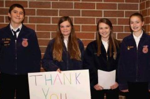 Article Image Alt Text