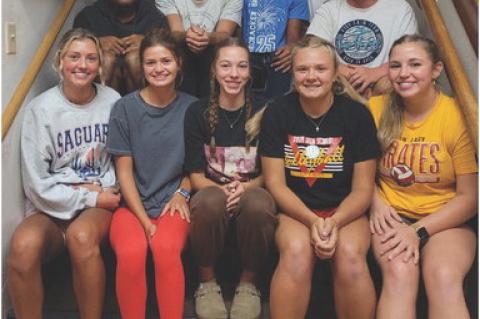 Article Image Alt Text