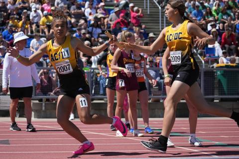 Article Image Alt Text