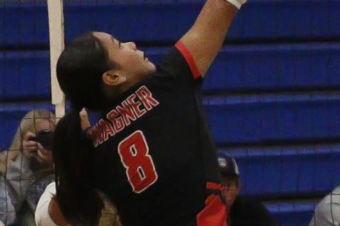 Article Image Alt Text