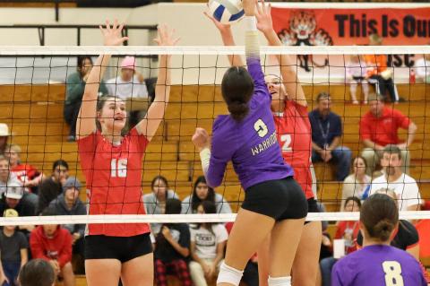 Article Image Alt Text