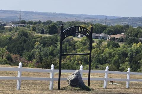 Article Image Alt Text