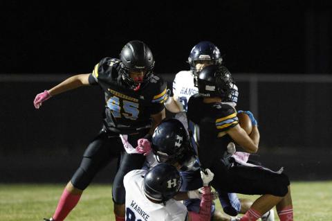 Article Image Alt Text