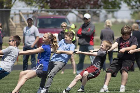 Article Image Alt Text