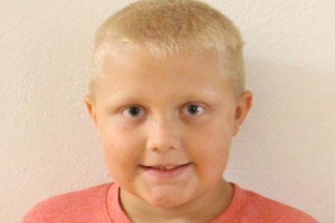 Article Image Alt Text