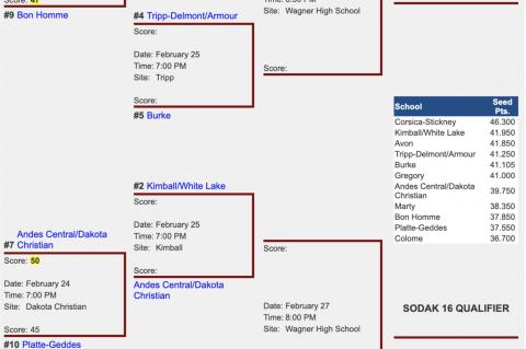 Article Image Alt Text