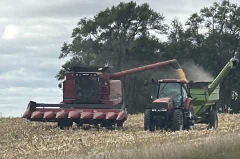 Article Image Alt Text