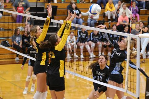 Article Image Alt Text