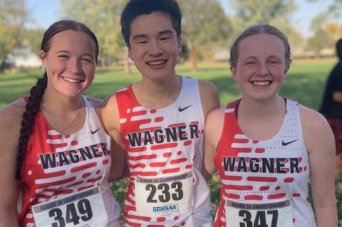 Article Image Alt Text