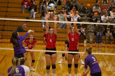 Article Image Alt Text