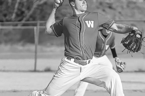 BASEBALL SEASON HAS BEGUN